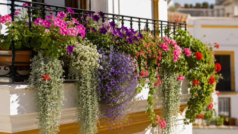 Las plantas colgantes vuelven a los balcones pequeños por su floración abundante y efecto cascada